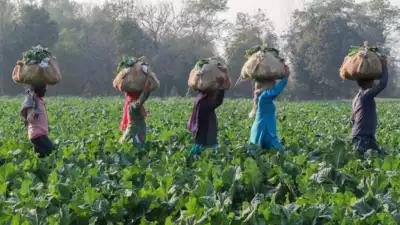 Union Budget 2025: Kisan Credit Card loan limit increased to Rs 5 Lakh from Rs 2 lakh
