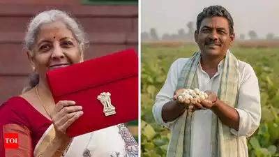Union Budget 2025: Credit & welfare sops in growth sauce for kisan