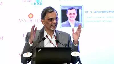 Chief economic adviser V Anantha Nageswaran Maha Kumbh, govt capex to push Q4 growth: Chief economic adviser