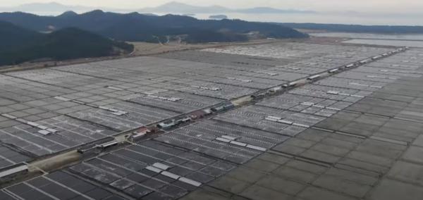 Taepyung Salt Farm in Sinan, South Jeolla Province (Captured from SBS)