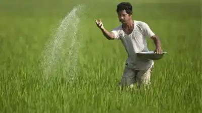 File photo India exploring options to boost fertiliser imports from US