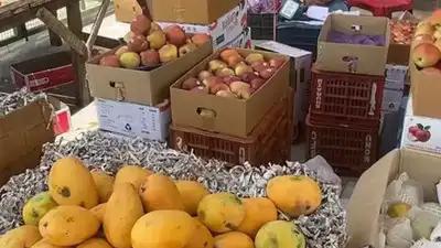 Representative (Photo credit: ANI) 'Forgotten Operation Dost': Indian fruit traders boycott Turkish goods over support to Pakistan