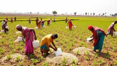 IFFCO shall provide advanced Nano Fertilisers, Bio-stimulants. (AI image) IFFCO joins hand with FDRVC to empower farmer producer organizations with next-generation nano fertilisers