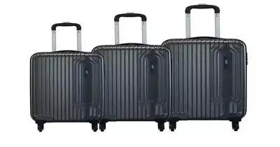 Luggage company VIP