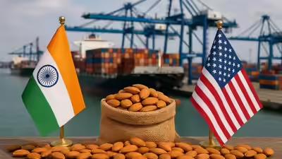 India levies a 100% duty on US walnuts, both shelled and unshelled, alongside specific duties of ₹35 per kilogram on almonds in shell and ₹100/kg on almond kernels. (AI image) India-US trade deal impact on dry fruit imports