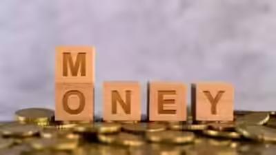 Midcaps outshine smallcaps long-term! Offer more stability; deliver 'risk-adjusted returns'