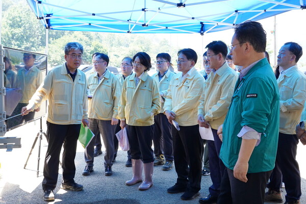 Mountain Fire Disaster Site